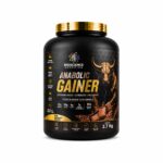 BULL  SERIES  ANABOLIC GAINER 2.7 KG